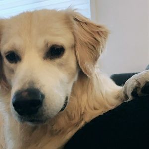 Meet your Posher, Marie-christine